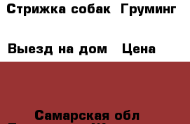 Стрижка собак (Груминг). Выезд на дом › Цена ­ 450 - Самарская обл., Тольятти г. Животные и растения » Услуги   